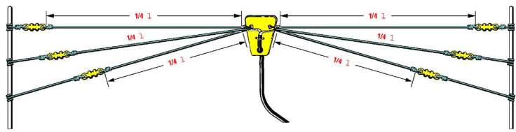 Antena bigotes de gato